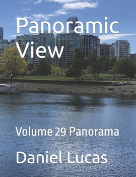 Paperback Panoramic View: Volume 29 Panorama Book