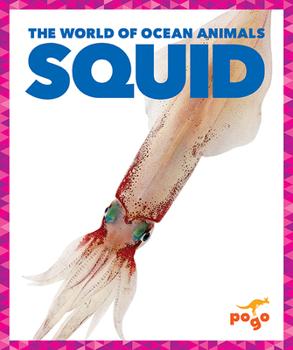 Paperback Squid Book