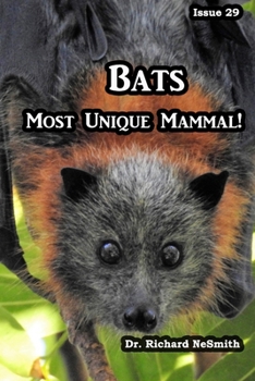 Paperback Bats: Most Unique Mammal! Book