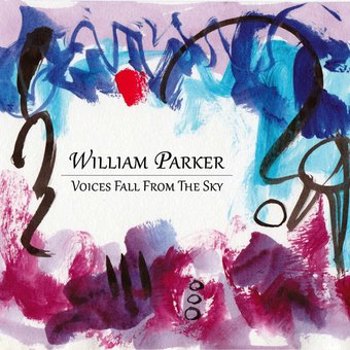 Music - CD Voices Fall from the Sky Book