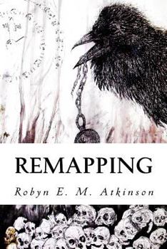 Paperback Remapping Book