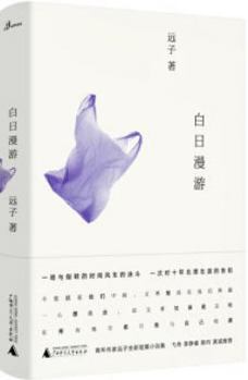 Paperback Wandering at Daylight (Chinese Edition) [Chinese] Book