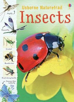 Paperback Naturetrail Insects Book