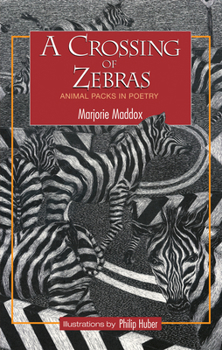 Hardcover A Crossing of Zebras Book