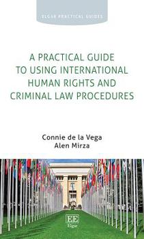 Paperback A Practical Guide to Using International Human Rights and Criminal Law Procedures Book