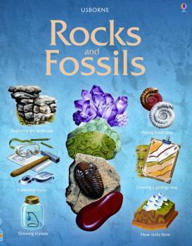 Paperback Rocks and Fossils Book
