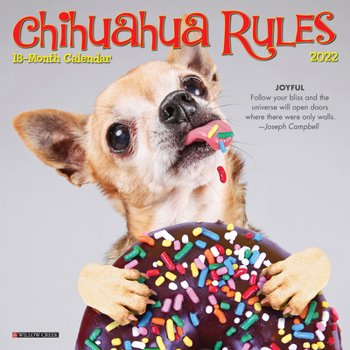 Calendar Chihuahua Rules 2022 Mini Wall Calendar (Dog Breed) Book