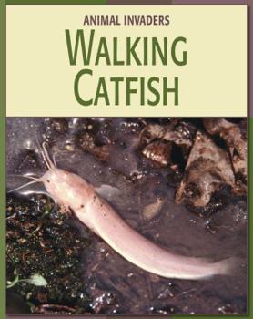 Library Binding Walking Catfish Book