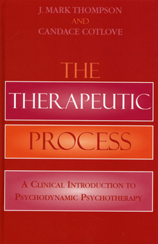 Paperback Therapeutic Process: A Clinical Introduction to Psychodynamic Psychotherapy Book