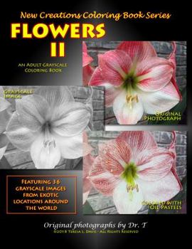 Paperback New Creations Coloring Book Series: Flowers II Book