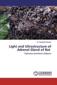 Paperback Light and Ultrastructure of Adrenal Gland of Bat Book