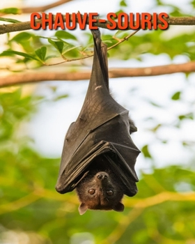 Paperback Chauve-Souris: Informations Etonnantes & Images [French] Book
