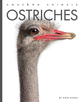 Ostriches - Book  of the Amazing Animals