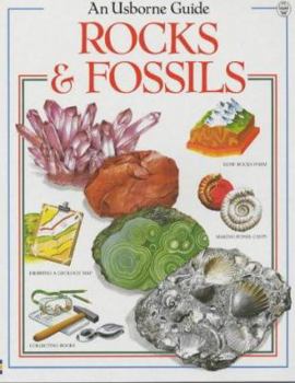 Paperback Rocks and Fossils Book