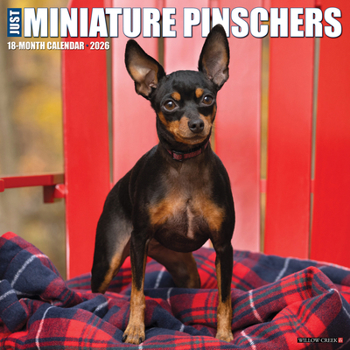 Calendar Miniature Pinschers 2026 Wall Calendar Book