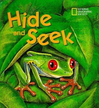 Hardcover Pop-Up: Hide & Seek Book