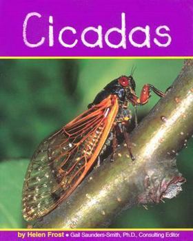 Hardcover Cicadas Book