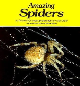 Hardcover Amazing Spiders Book