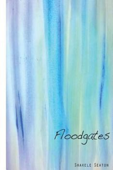 Paperback Floodgates Book