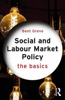 Paperback Social and Labour Market Policy: The Basics Book