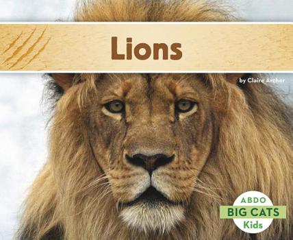 Paperback Lions Book