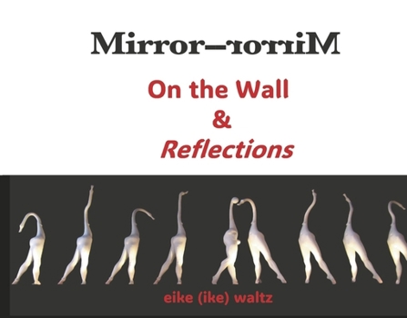 Mirror-Mirror on the Wall & Reflections