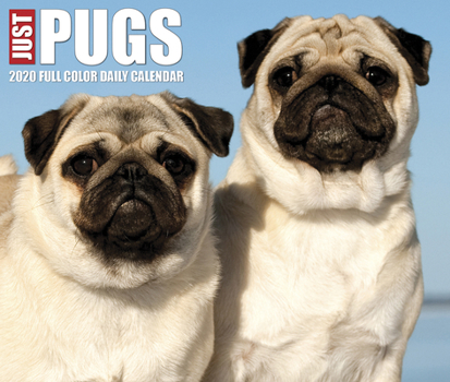 Calendar Just Pugs 2020 Box Calendar (Dog Breed Calendar) Book
