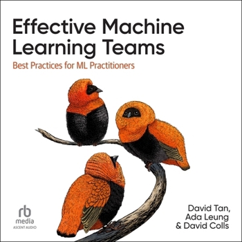 MP3 CD Effective Machine Learning Teams: Best Practices for ML Practitioners Book