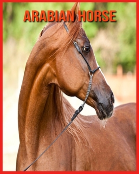 Arabian Horse: Amazing Facts & Pictures
