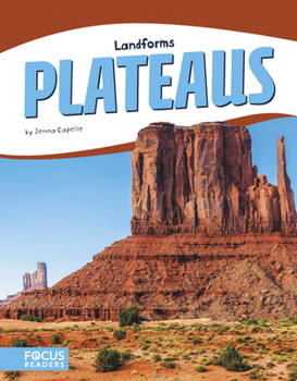 Paperback Plateaus Book