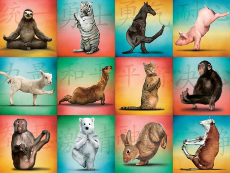 Misc. Supplies Animal Yoga 500-Piece Puzzle Book