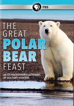 DVD The Great Polar Bear Feast Book