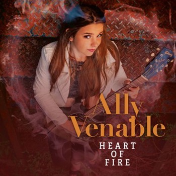 Vinyl Heart Of Fire Book