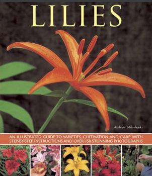 Paperback Lilies: An Illustrated Guide to Varieties, Cultivation and Care, with Step-By-Step Instructions and Over 150 Stunning Photogra Book