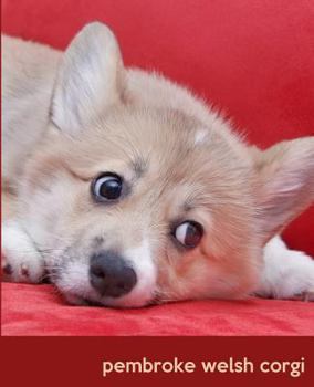 Pembroke Welsh Corgi: A Gift Journal for People who Love Dogs: Pembroke Welsh Corgi Puppy Edition