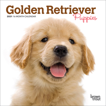 Calendar Golden Retriever Puppies 2021 Mini 7x7 Book
