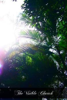 Paperback The Visible Church: Her Government, Ceremonies, Sacramentals, Festivals, And Devotions Book