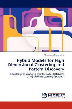 Paperback Hybrid Models for High Dimensional Clustering and Pattern Discovery Book