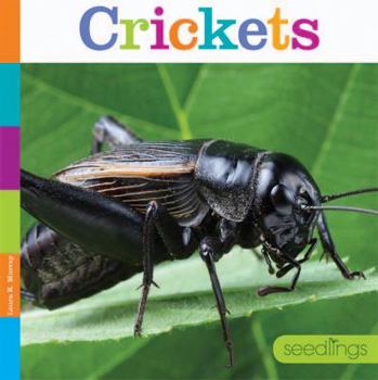 Crickets - Book  of the Seedlings