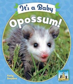Library Binding It's a Baby Opossum Book