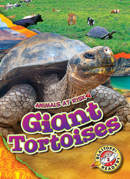 Library Binding Giant Tortoises Book