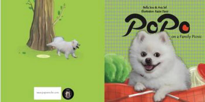 Paperback Popo on a Family Picnic Book