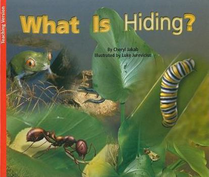 Paperback What Is Hiding? Levels 5-6: Teacher Note (Rigby Flying Colors Red) Book