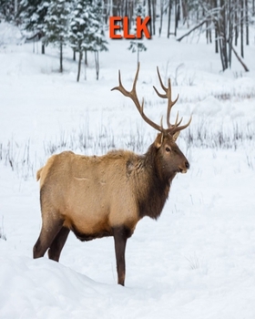 Paperback Elk: Beautiful Pictures & Interesting Facts Children Book About Elk Book