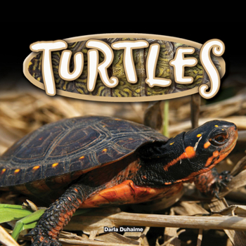 Turtles - Book  of the Reptiles