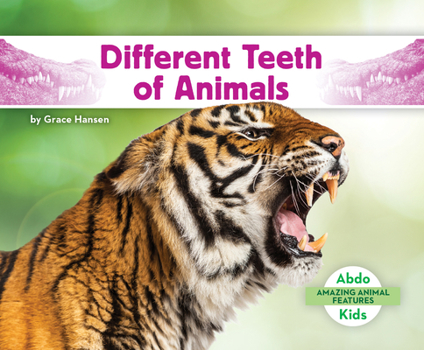 Library Binding Different Teeth of Animals Book
