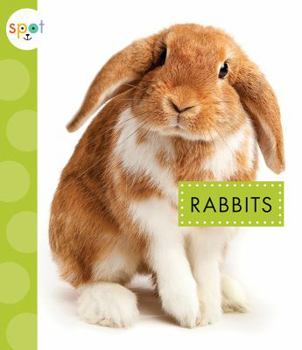 Rabbits - Book  of the Backyard Animals