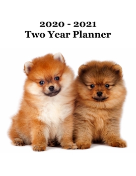 2020 - 2021 Two Year Planner: Pomeranian Puppies Cover - Includes Major U.S. Holidays and Sporting Events