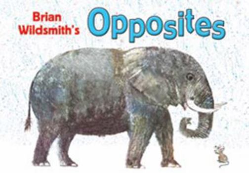 Brian Wildsmith's Opposites (Spanish edition)