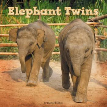 Paperback Elephant Twins Book